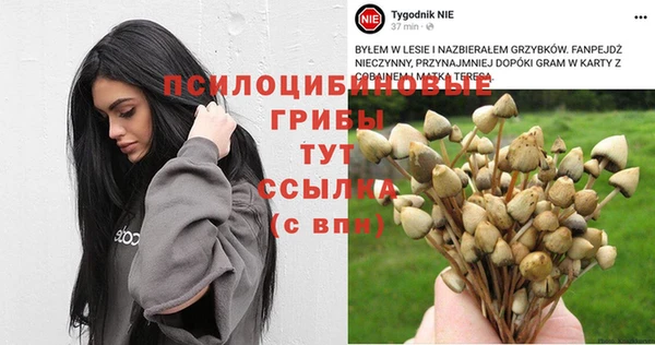 синтетический гашиш Абдулино