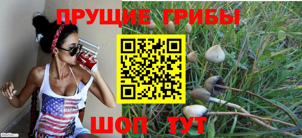 Галлюциногенные грибы Psilocybine cubensis Уфа