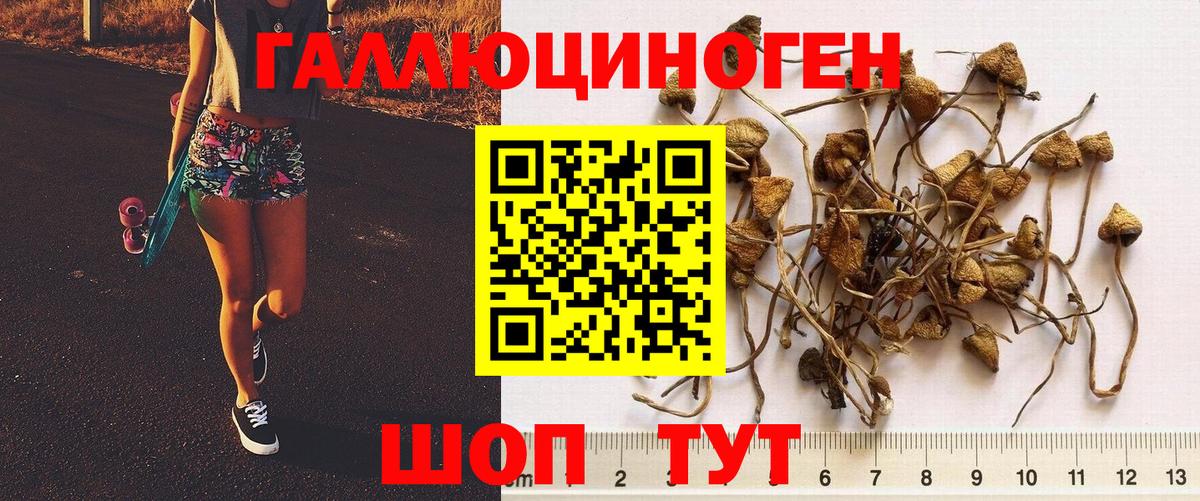 Псилоцибиновые грибы мухоморы  Галлюциногенные грибы мицелий  Вход с VPN  Уфа 